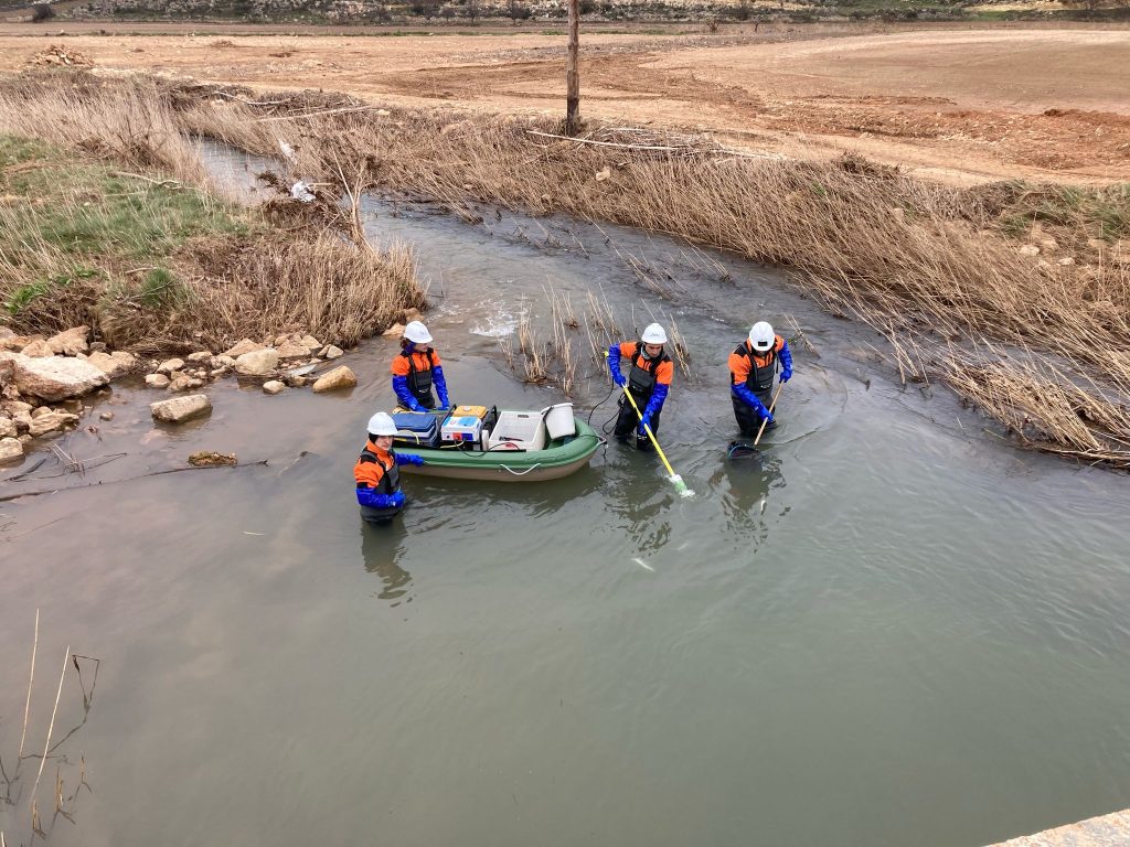 Sistema de pesca eléctrica