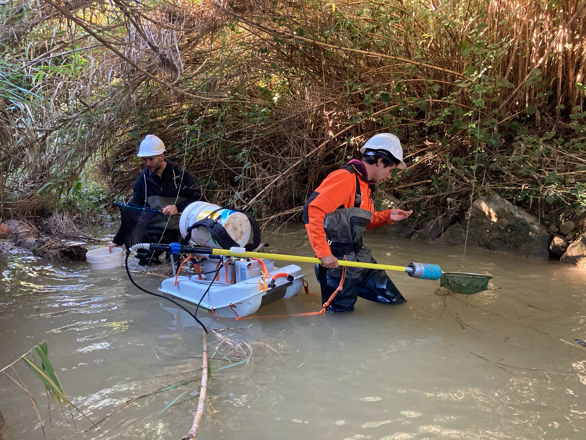 Especialistas en pesca eléctrica con Gerris